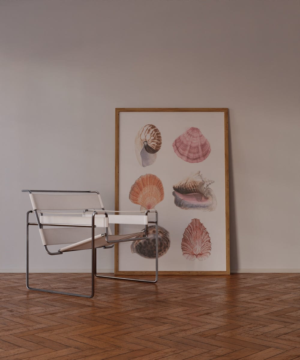Classic Shells II
