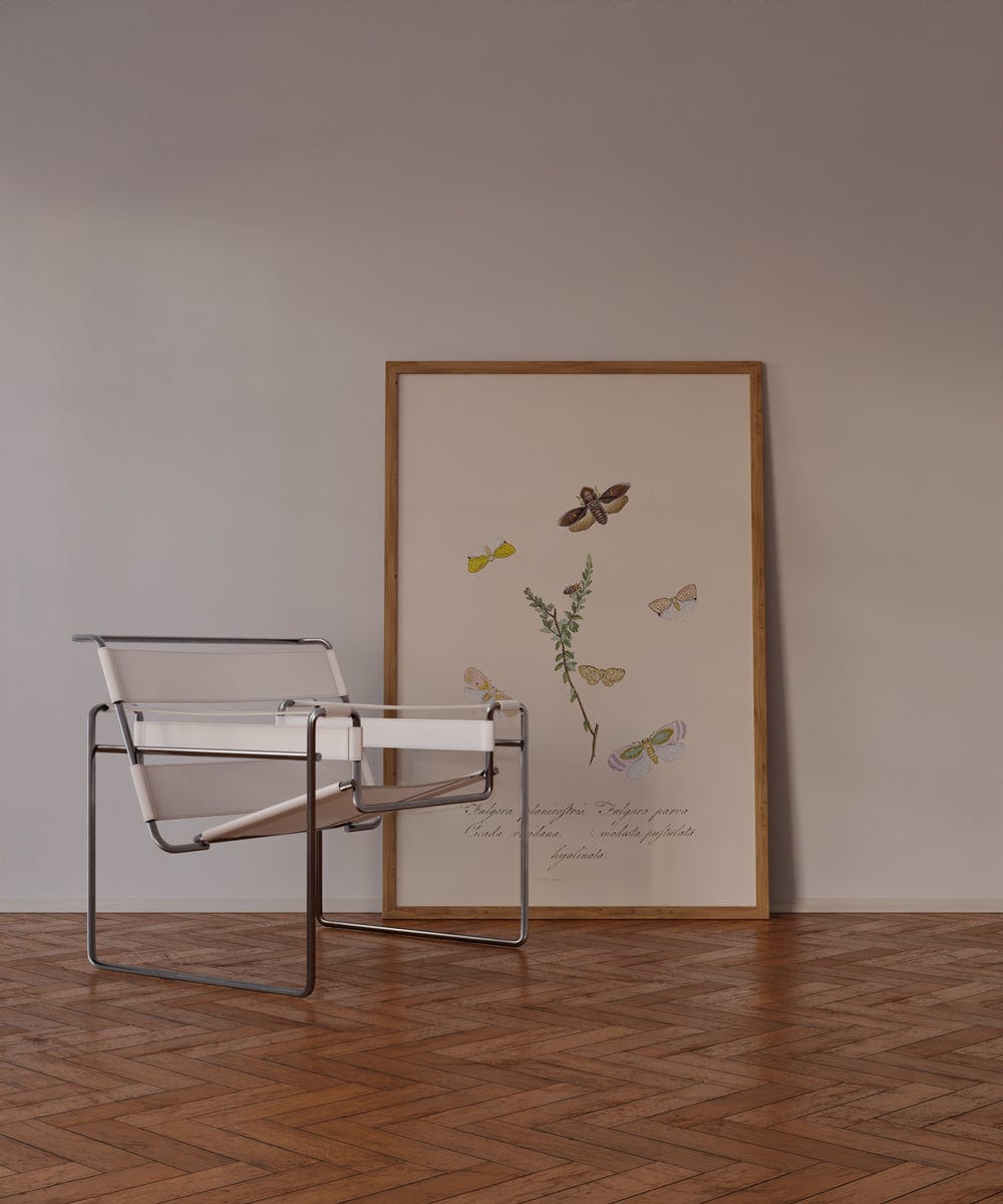 Entomology VIII