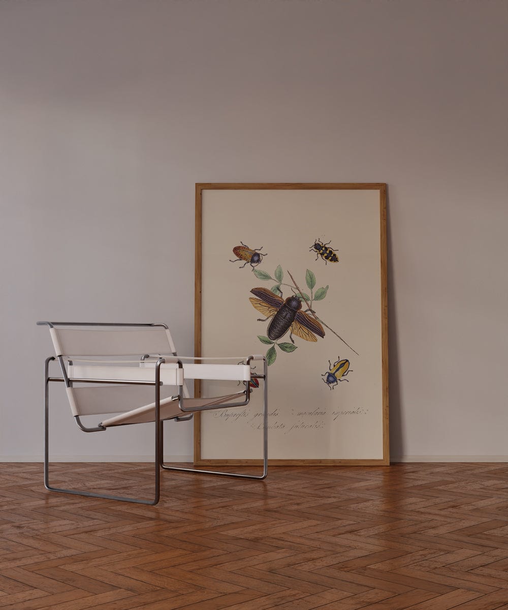 Entomology VII