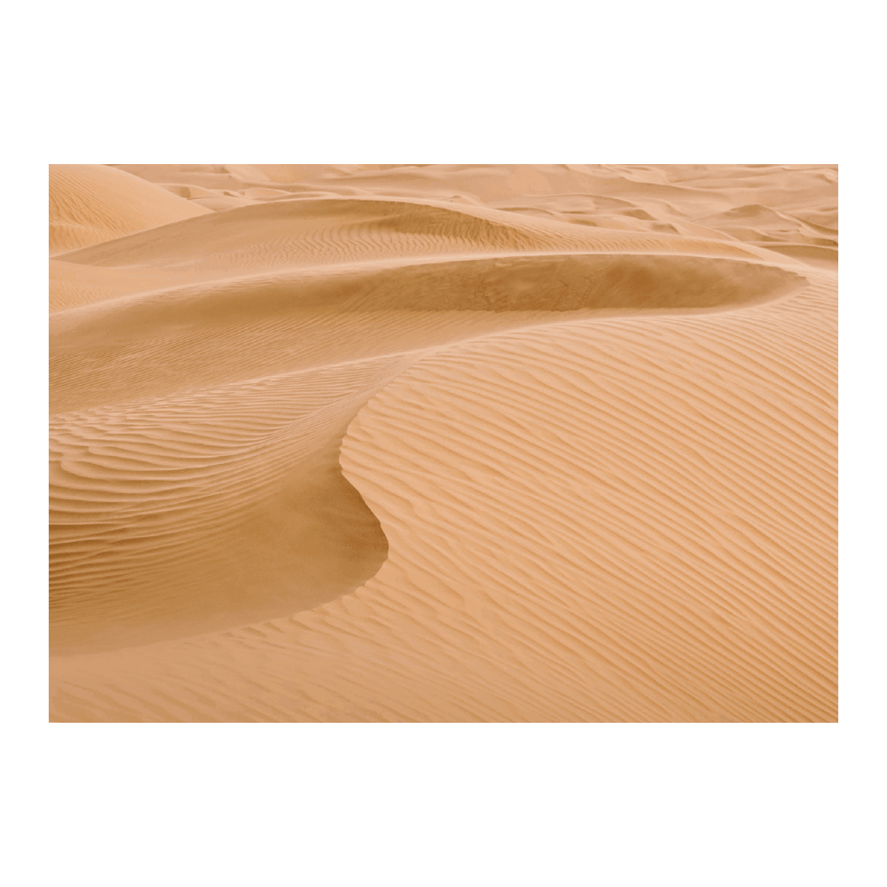 Sand Dune In The Sahara Desert
