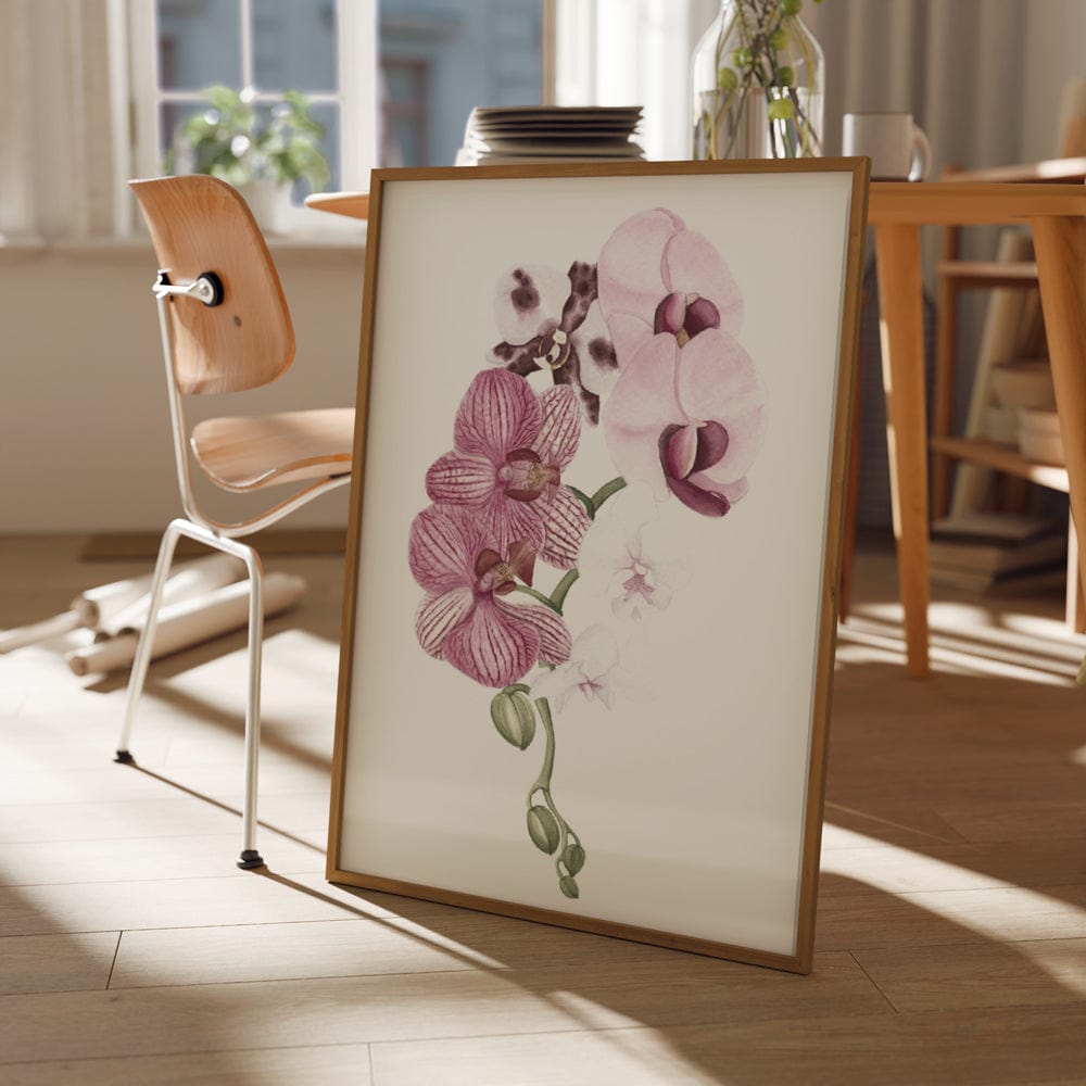 Orchid Blush I