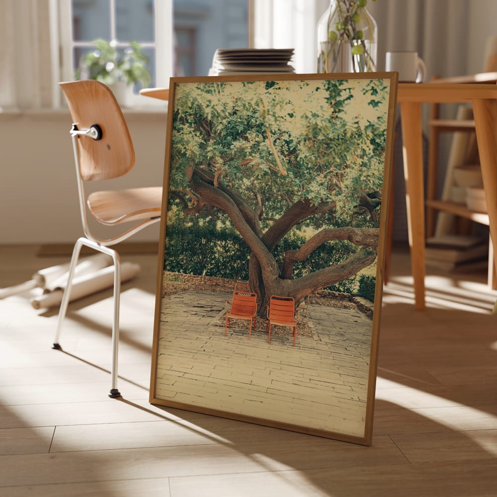 Orange Tree And Chairs