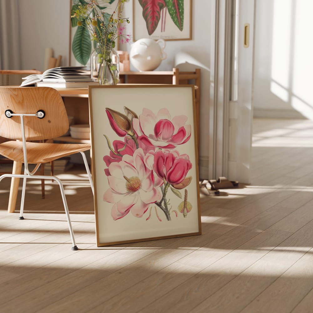 Magnolia Campbellii (1855)
