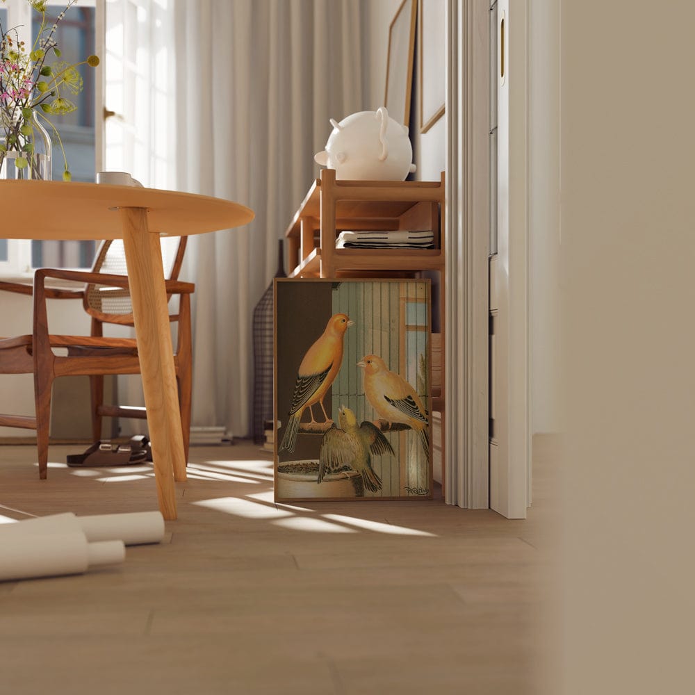 London Fancy Canaries