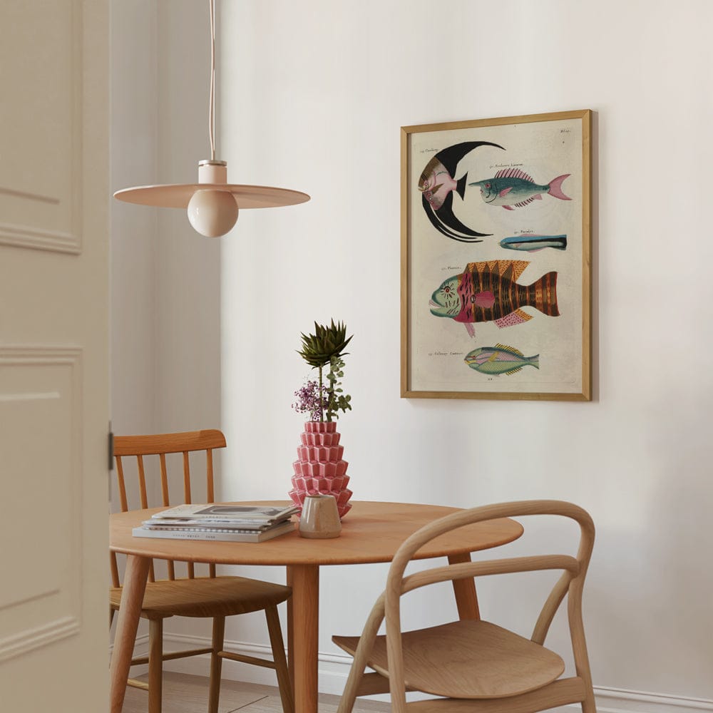 Poissons, Ecrevisses Et Crabes, De Diverses Couleurs Et Figures Extraordinaires PI XXIV