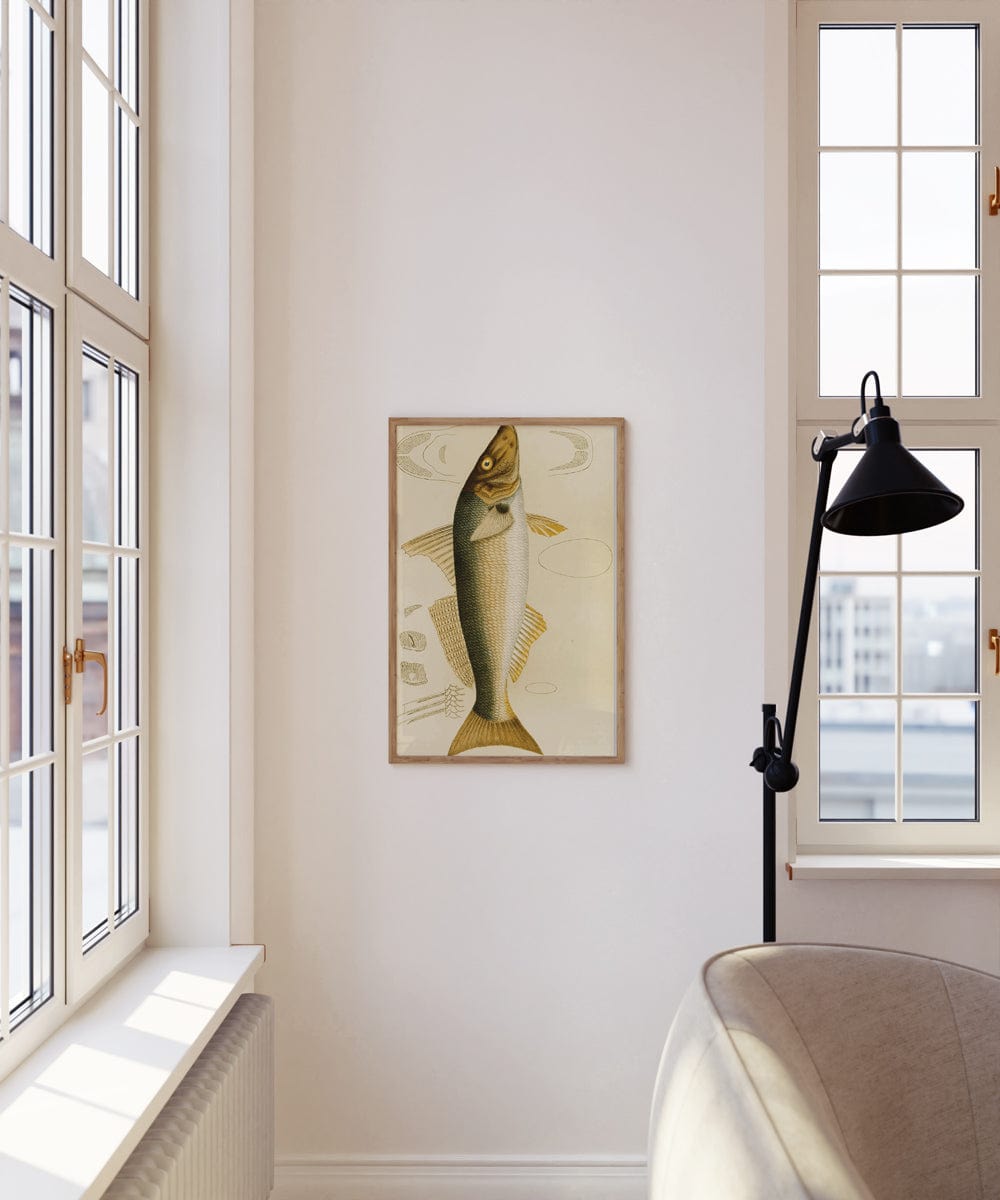 Fishes VII