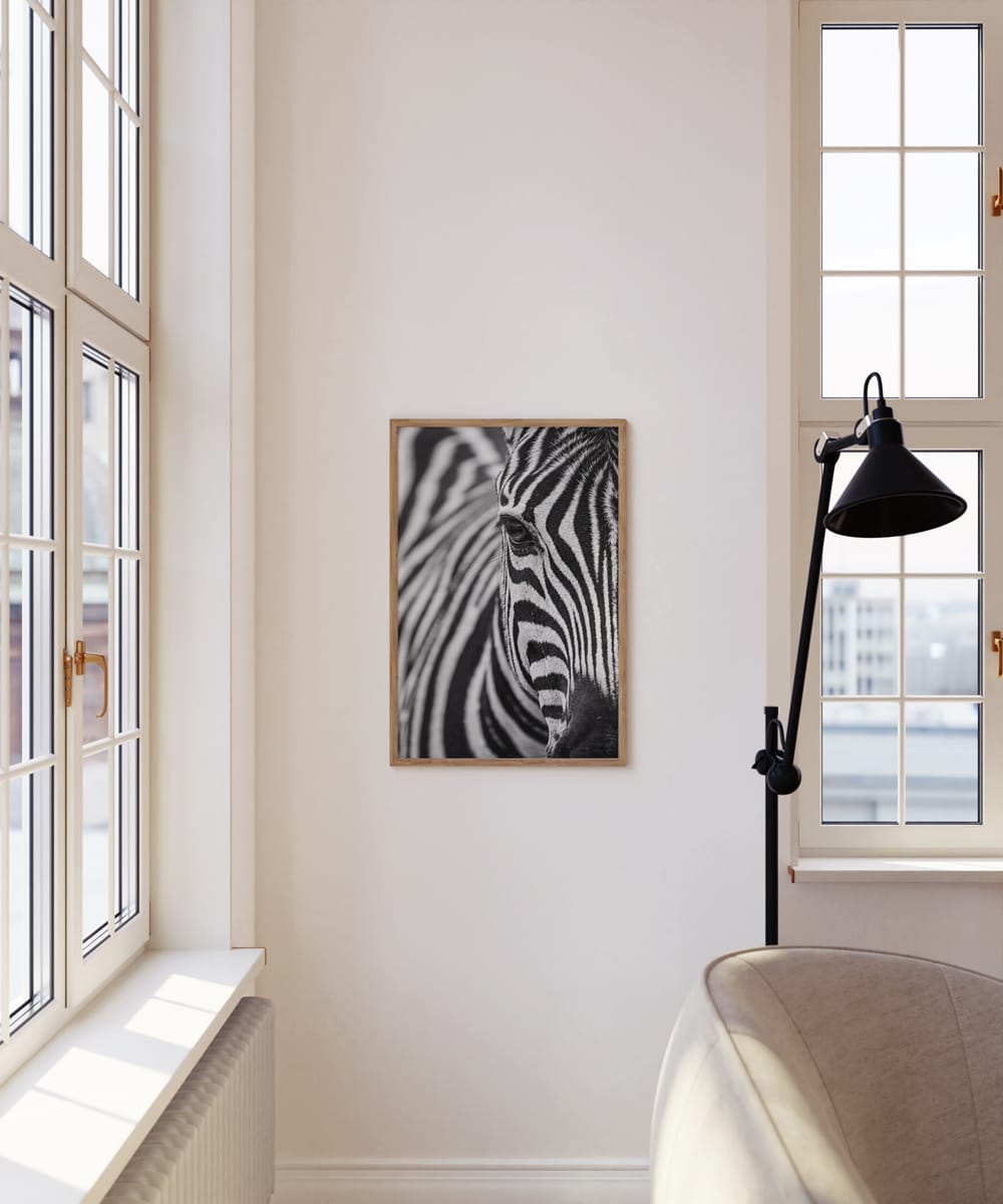 Stripes In Focus