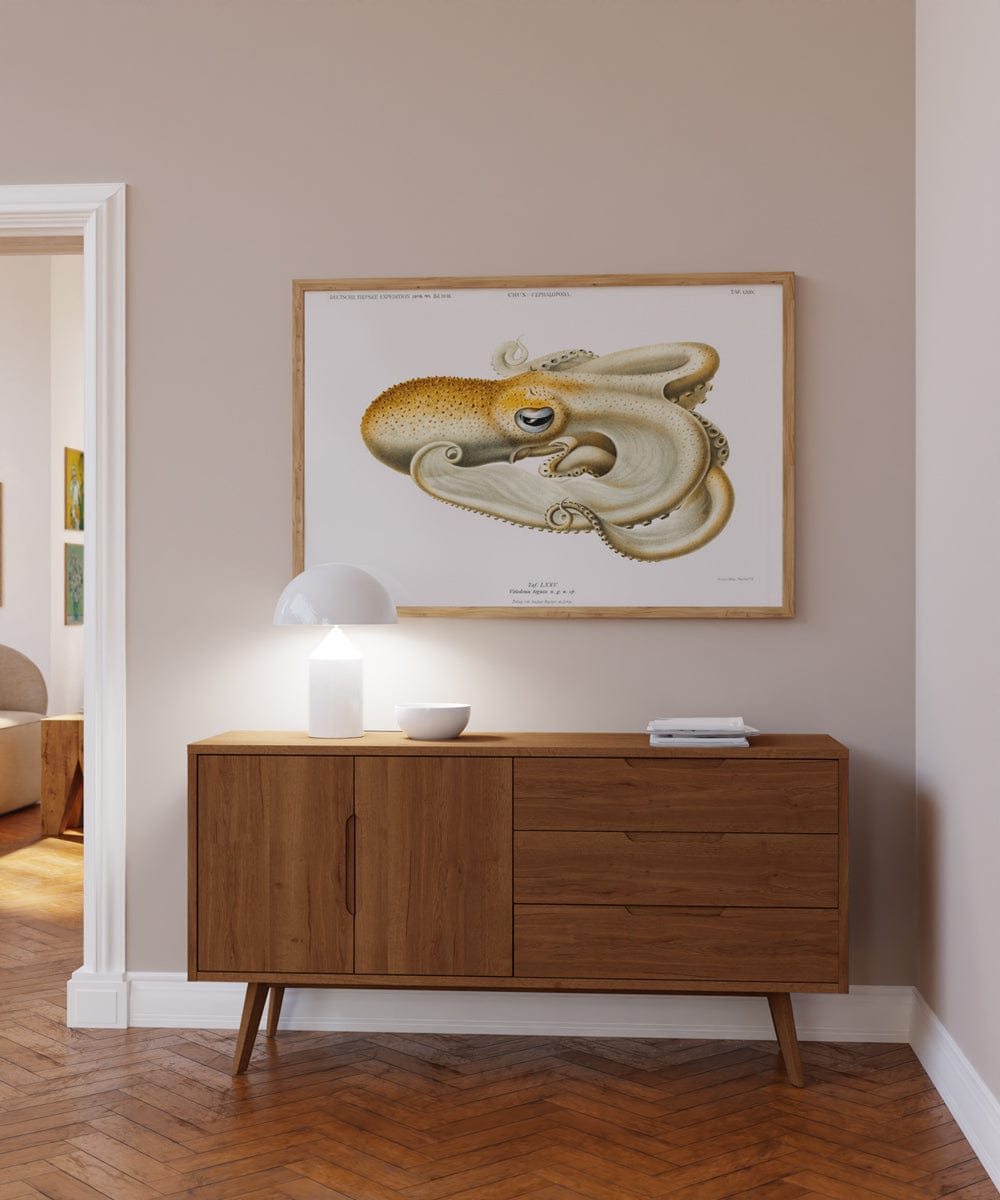 Velodona Octopus