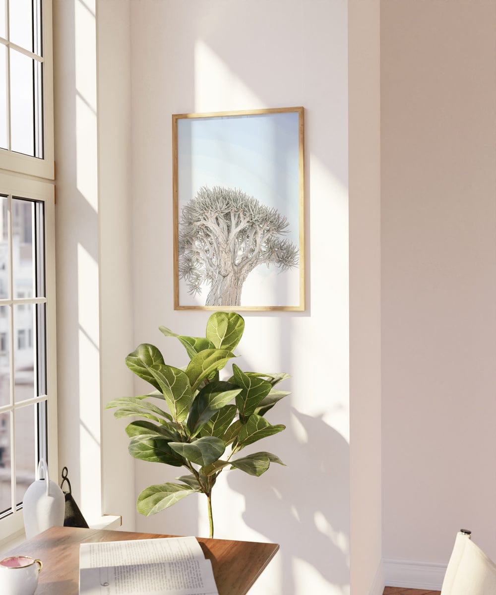 Quiver Tree