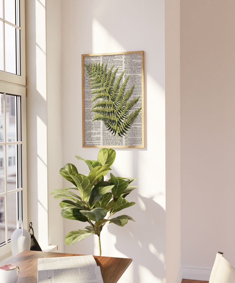 Newspaper Fern