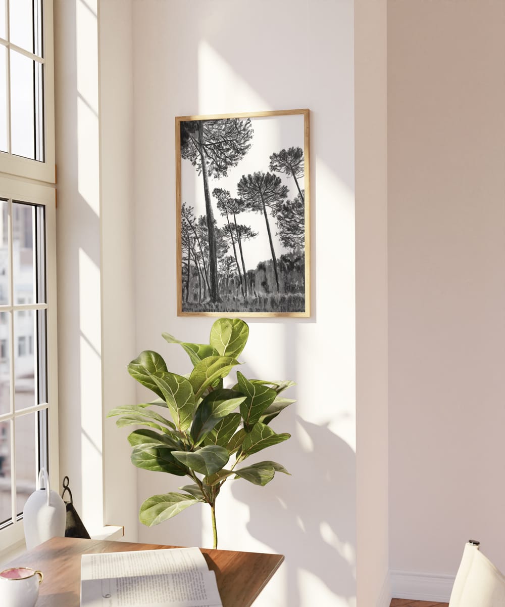 Keurboom Pines II