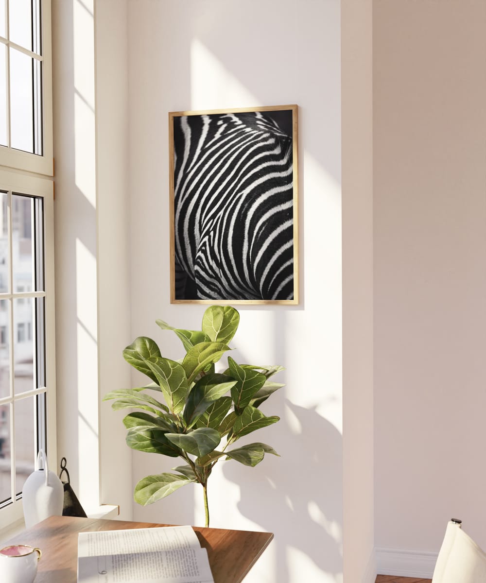 Monochrome Striations
