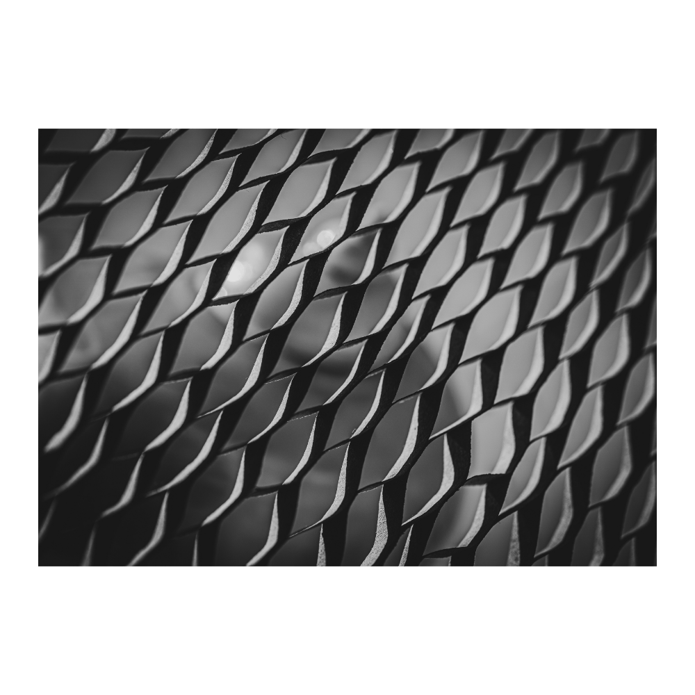 Texture And Light, Black And White