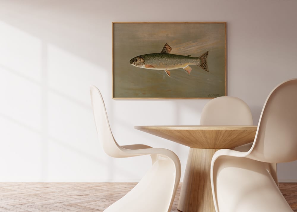 The American Brook Trout
