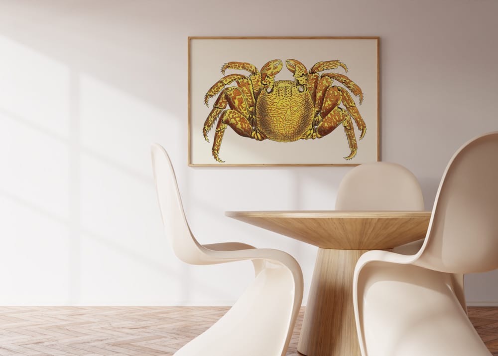 Variegated Crab