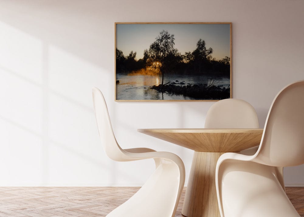 River Rays