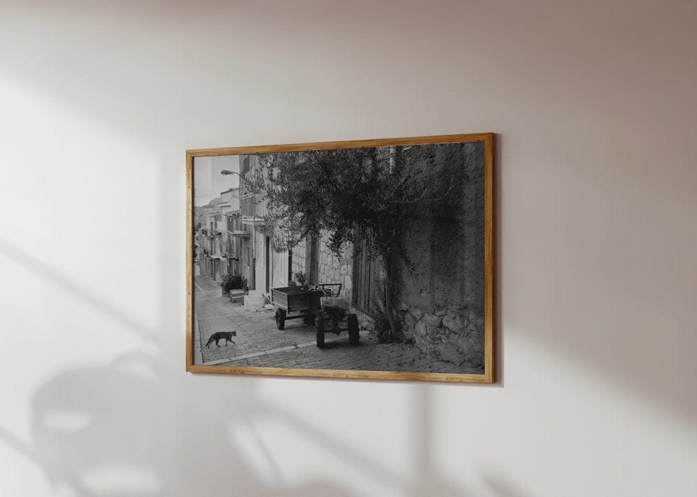 The Cat And Tractor