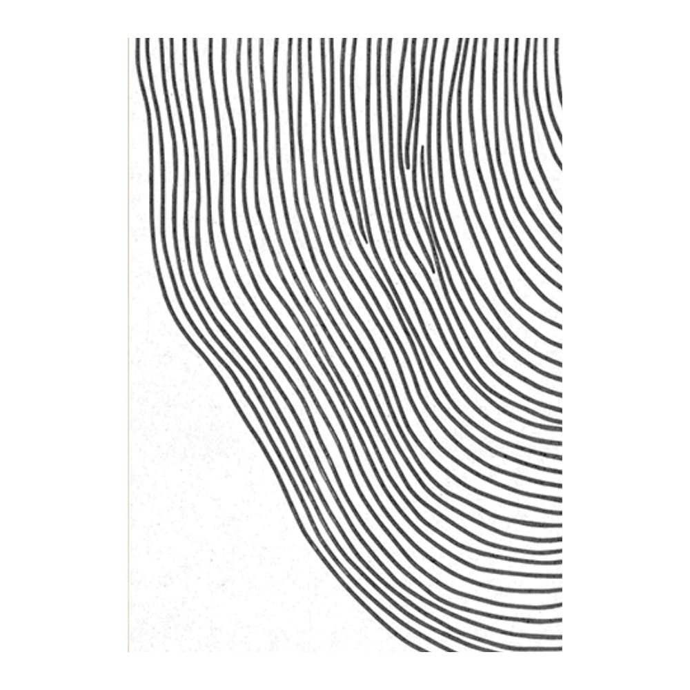Tree Bark Line Drawing Set II