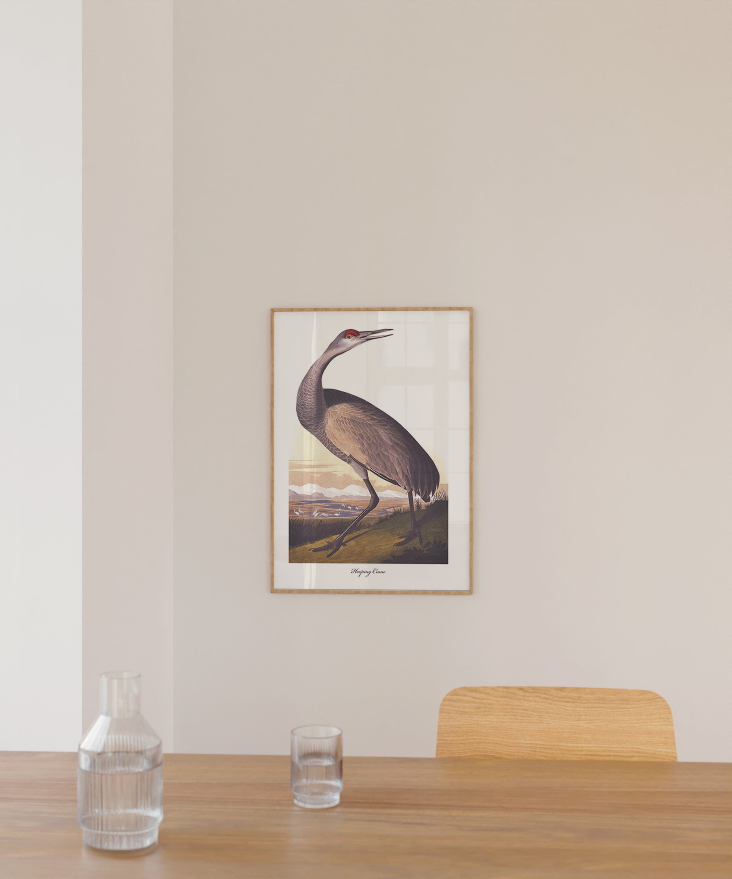 Audubon Hooping Crane II