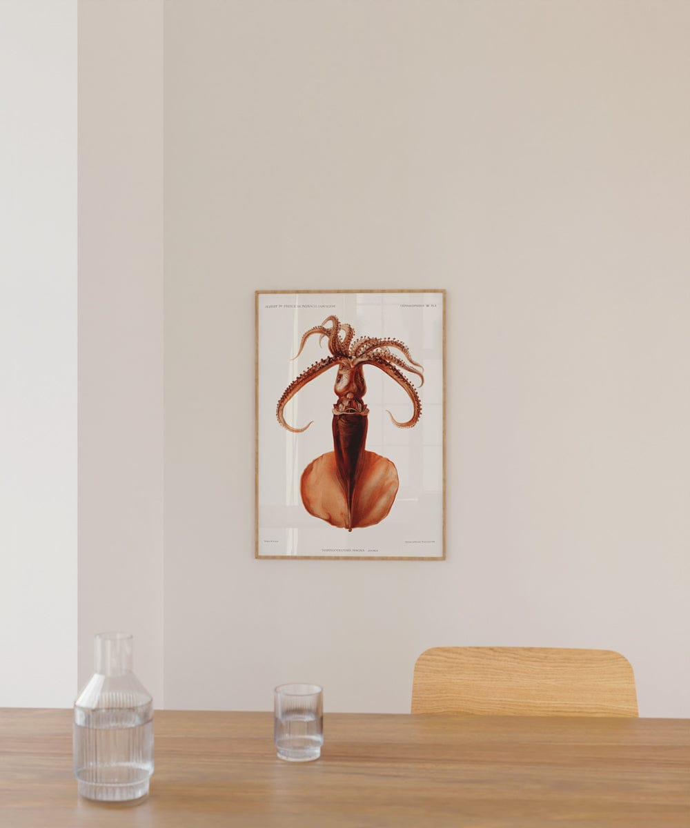 Squid Résultats des Campagnes Scientifiques