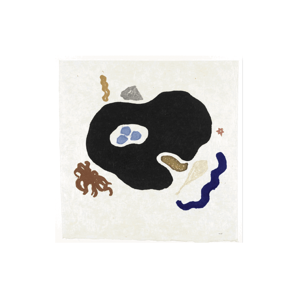 Schelpen