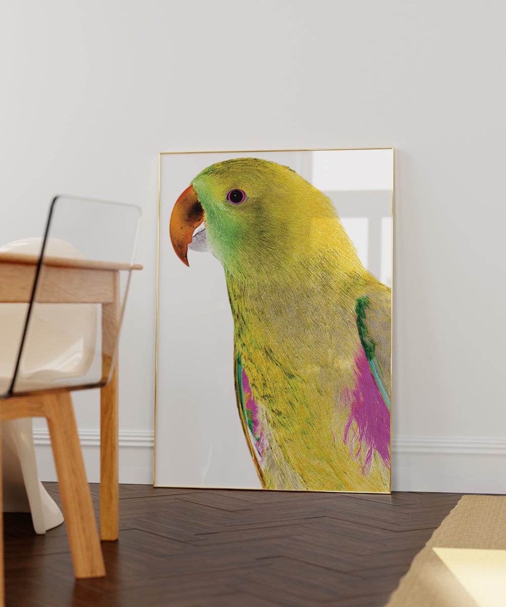 Polly