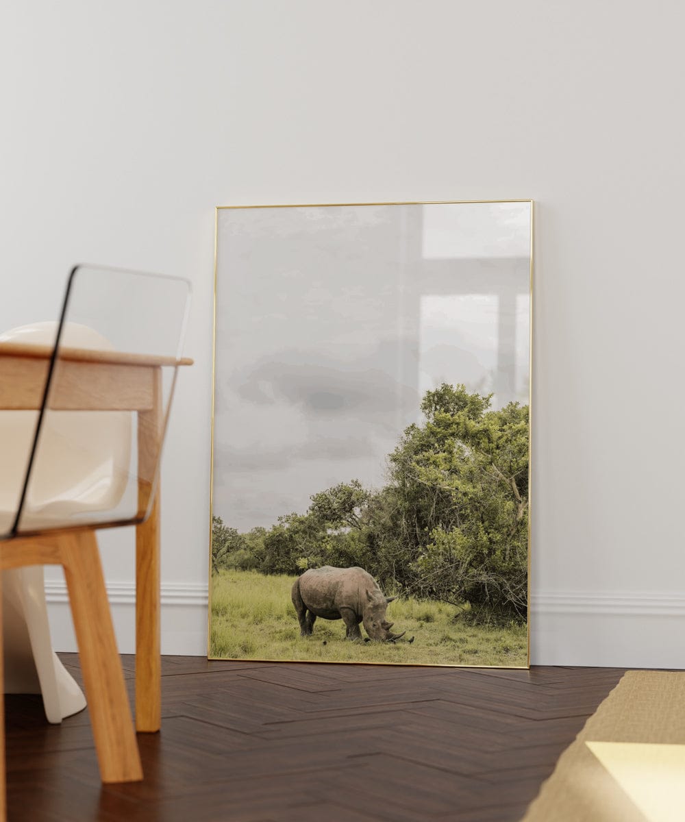 White Rhino In Uganda