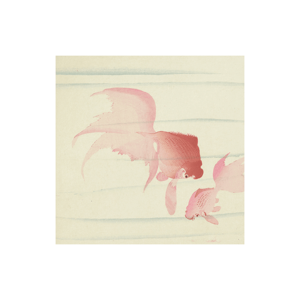 Ohara Koson: "Two Veil Tails"