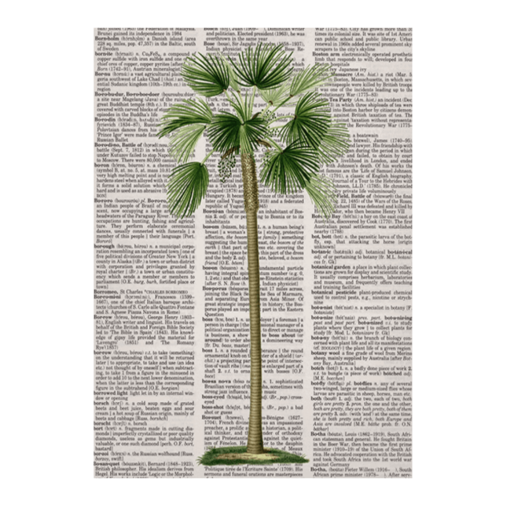 Newspaper Palm Tree