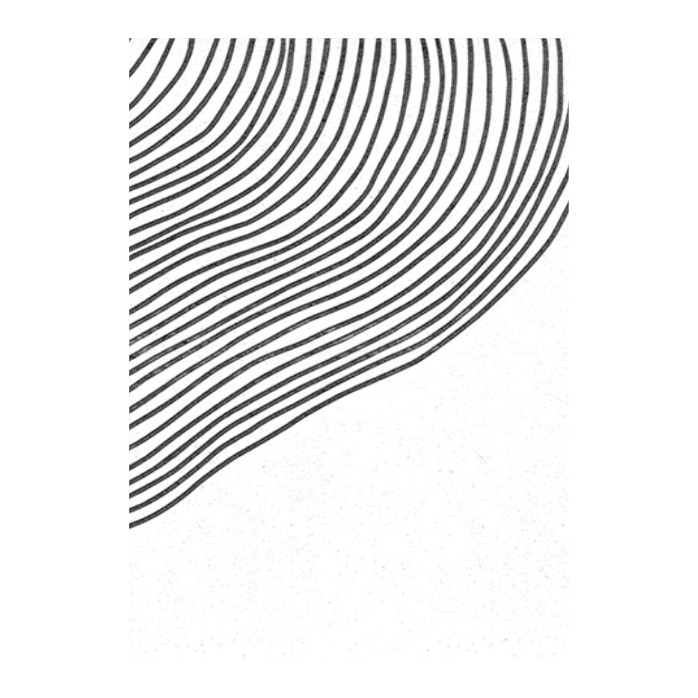 Tree Bark Line Drawing Set I