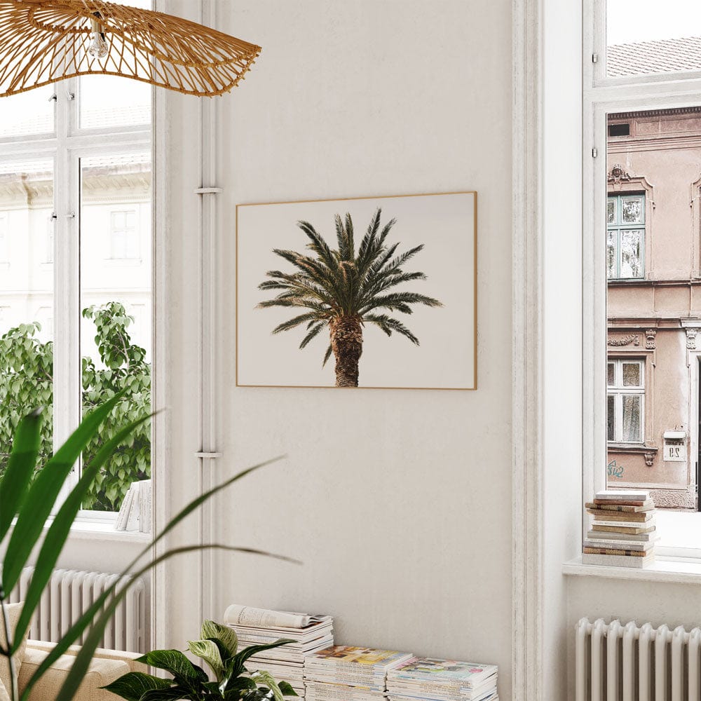 Fresh Palm