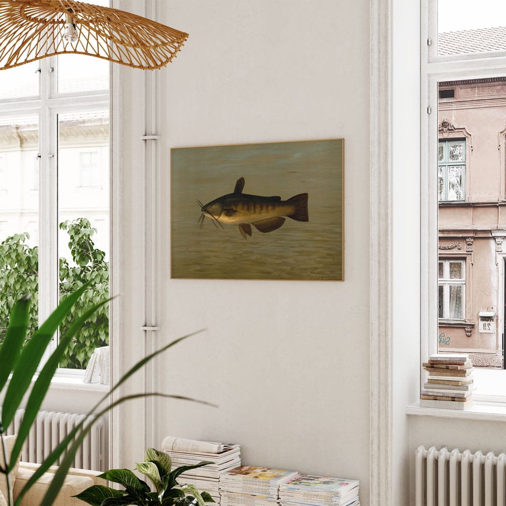 The Common Bullhead