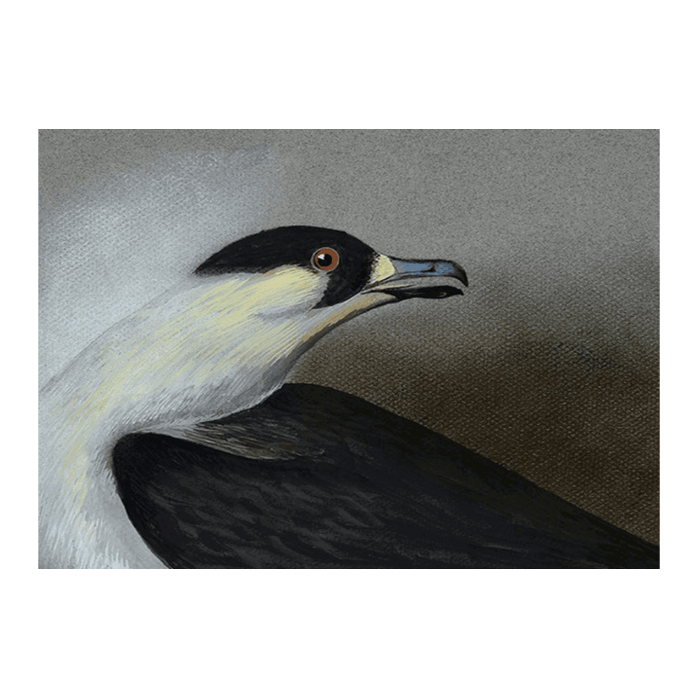 Richardson Jaeger Painting