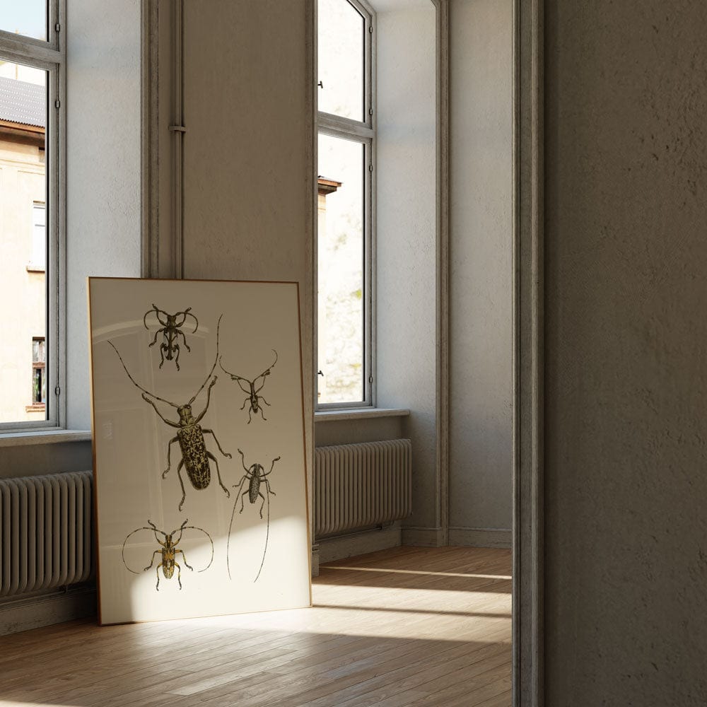 The Cabinet of Oriental Entomology Pl VI (1848)