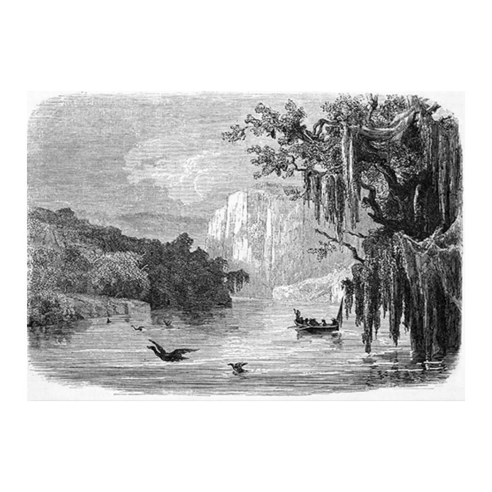 Antique Etching VIII