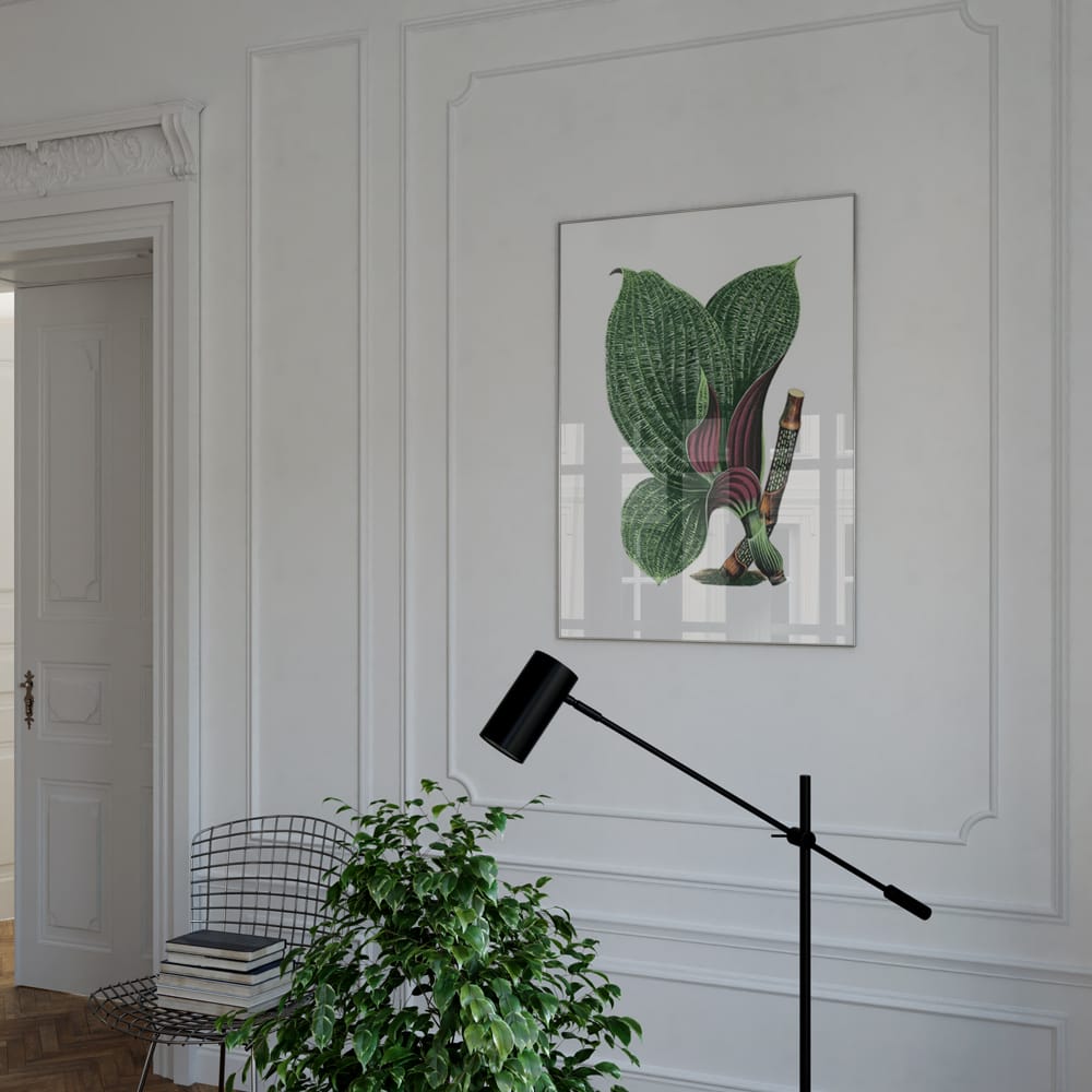 French Tropical Illustration V