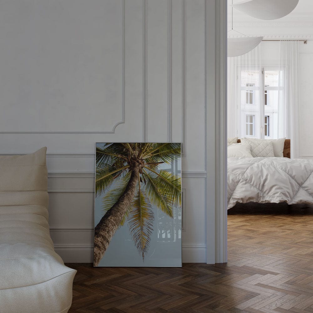 Single Palm Tree