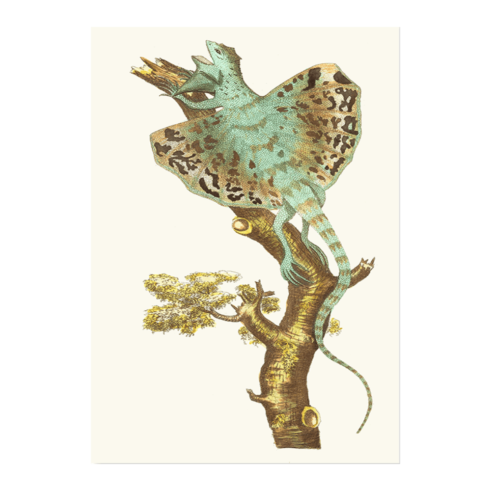 The Flying Dragon