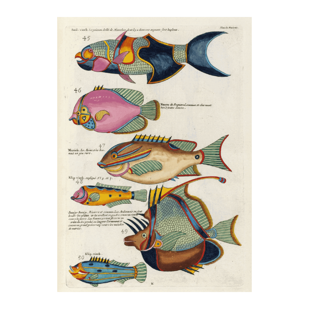 Poissons, Ecrevisses Et Figures Extraordinaires PI LIII