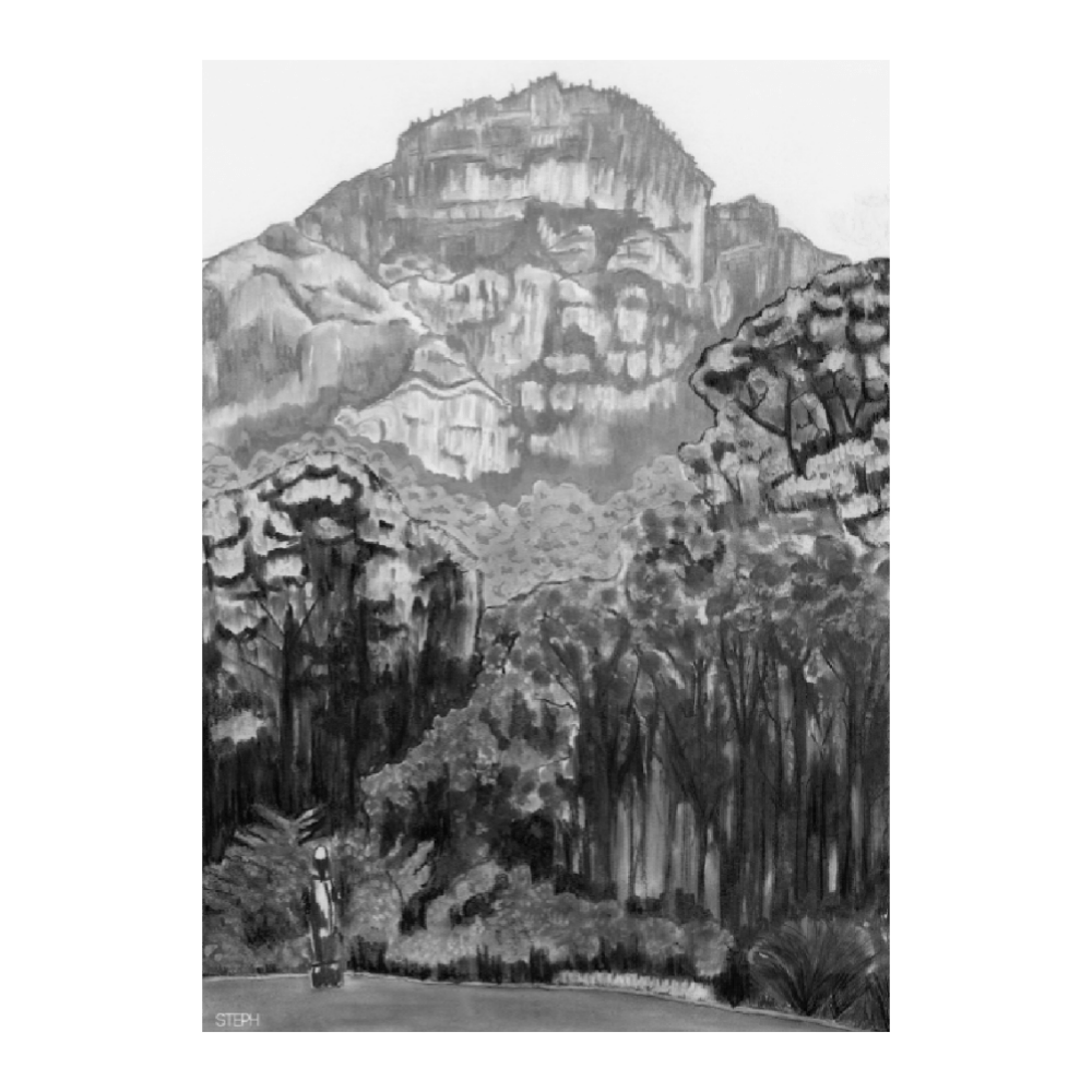 Kirstenbosch Forests