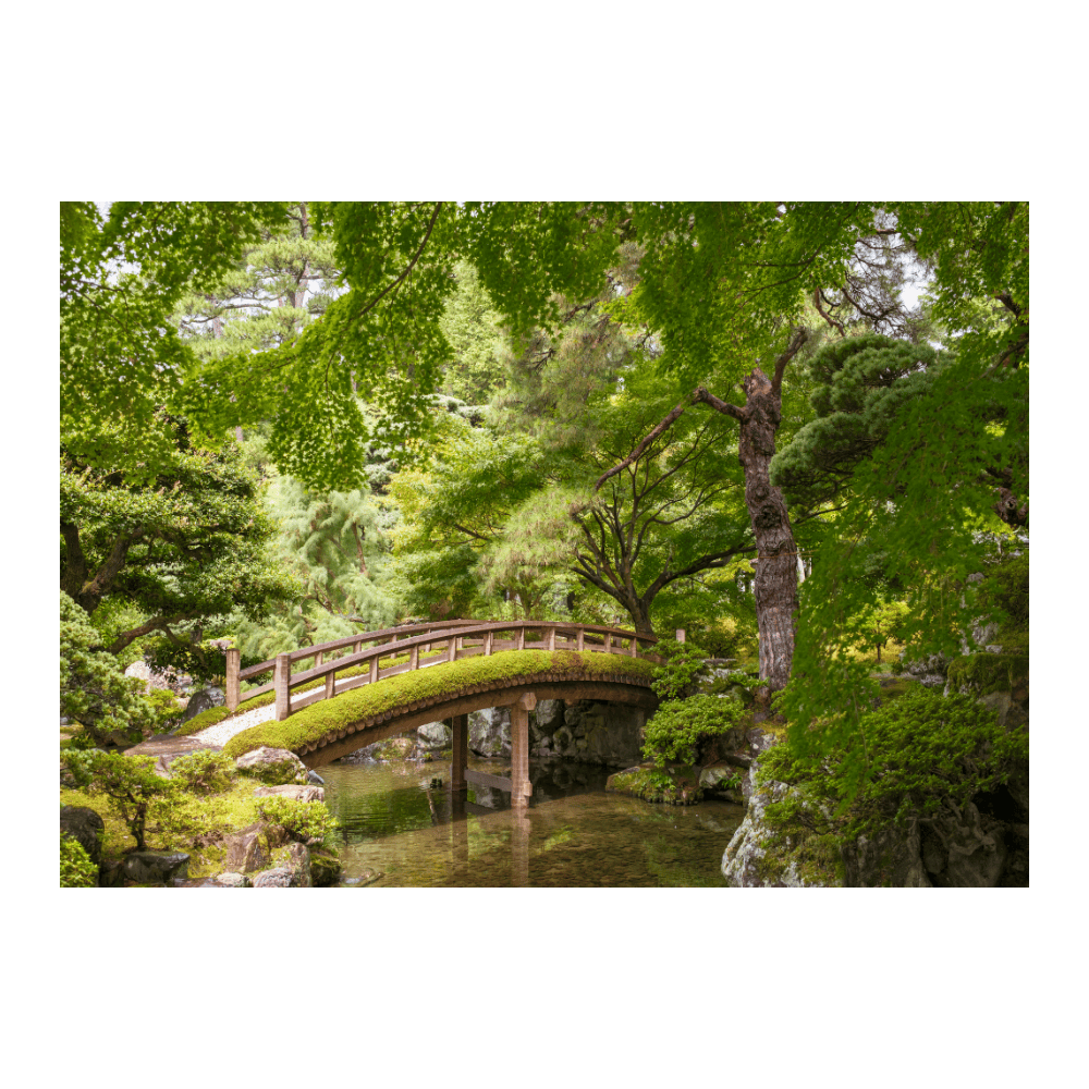 Moss Bridge, Kyoto Imperial Palace Garden