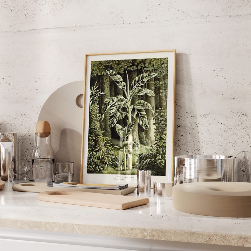 Antique Tropical Illustration