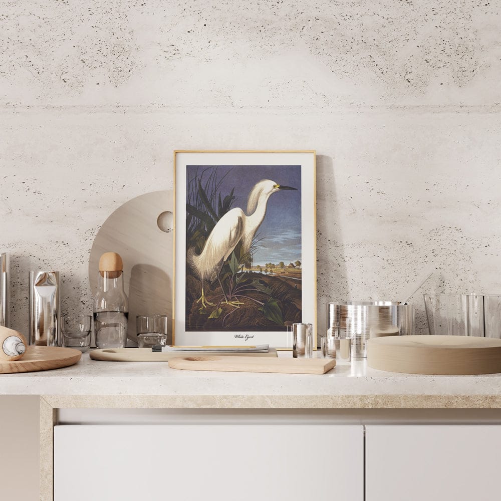 Audubon White Egret
