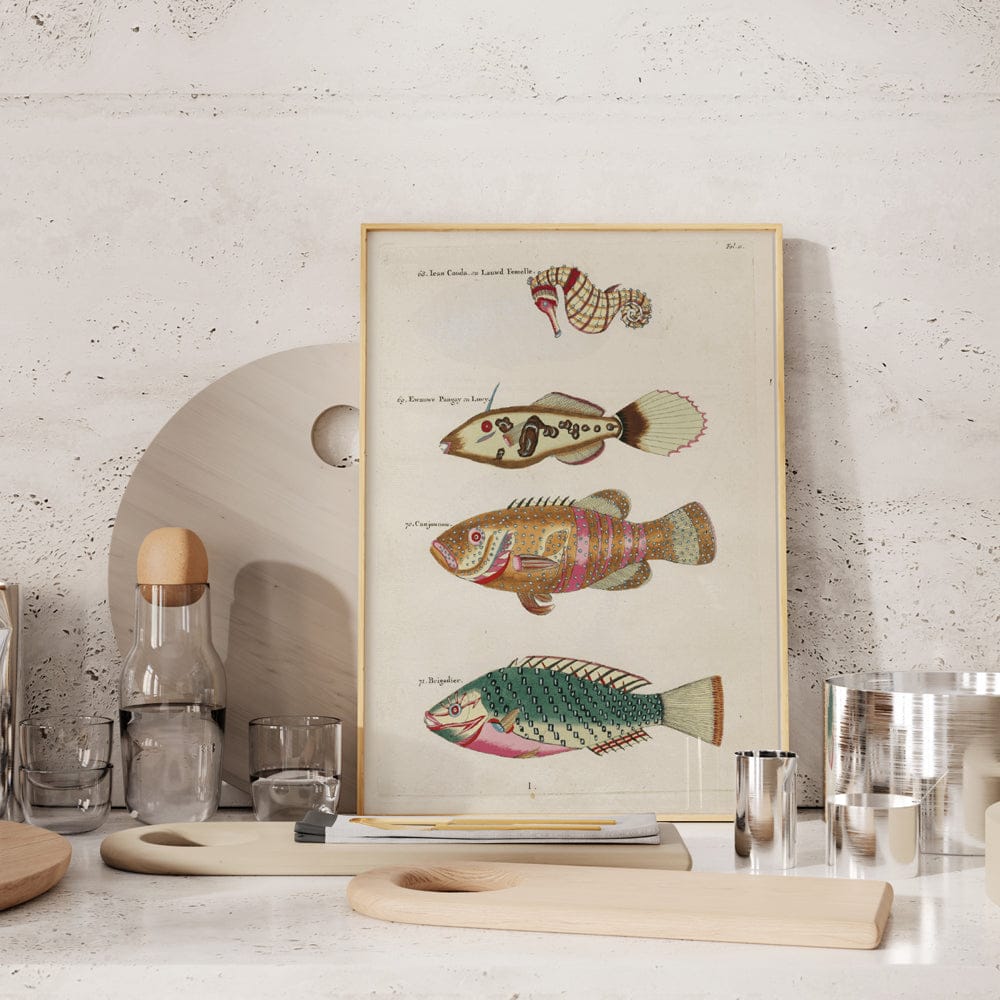 Poissons,Eccrevisses Et Crabes,De Diverses Couleurs Et Figures Extraordinaires PI XI