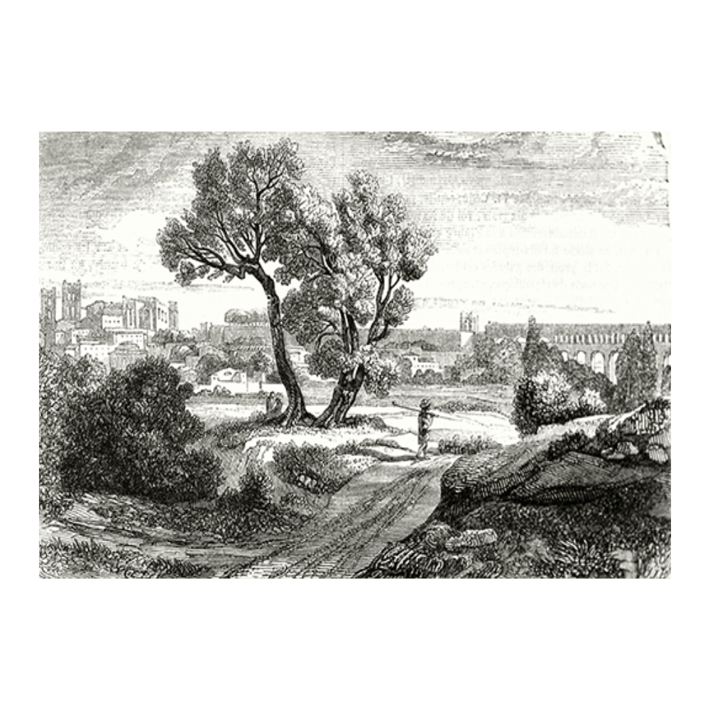 Antique Etching IX