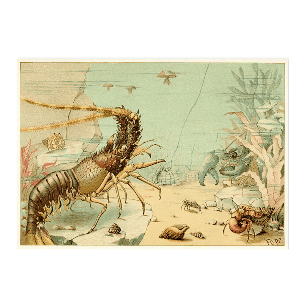 Crustaceans