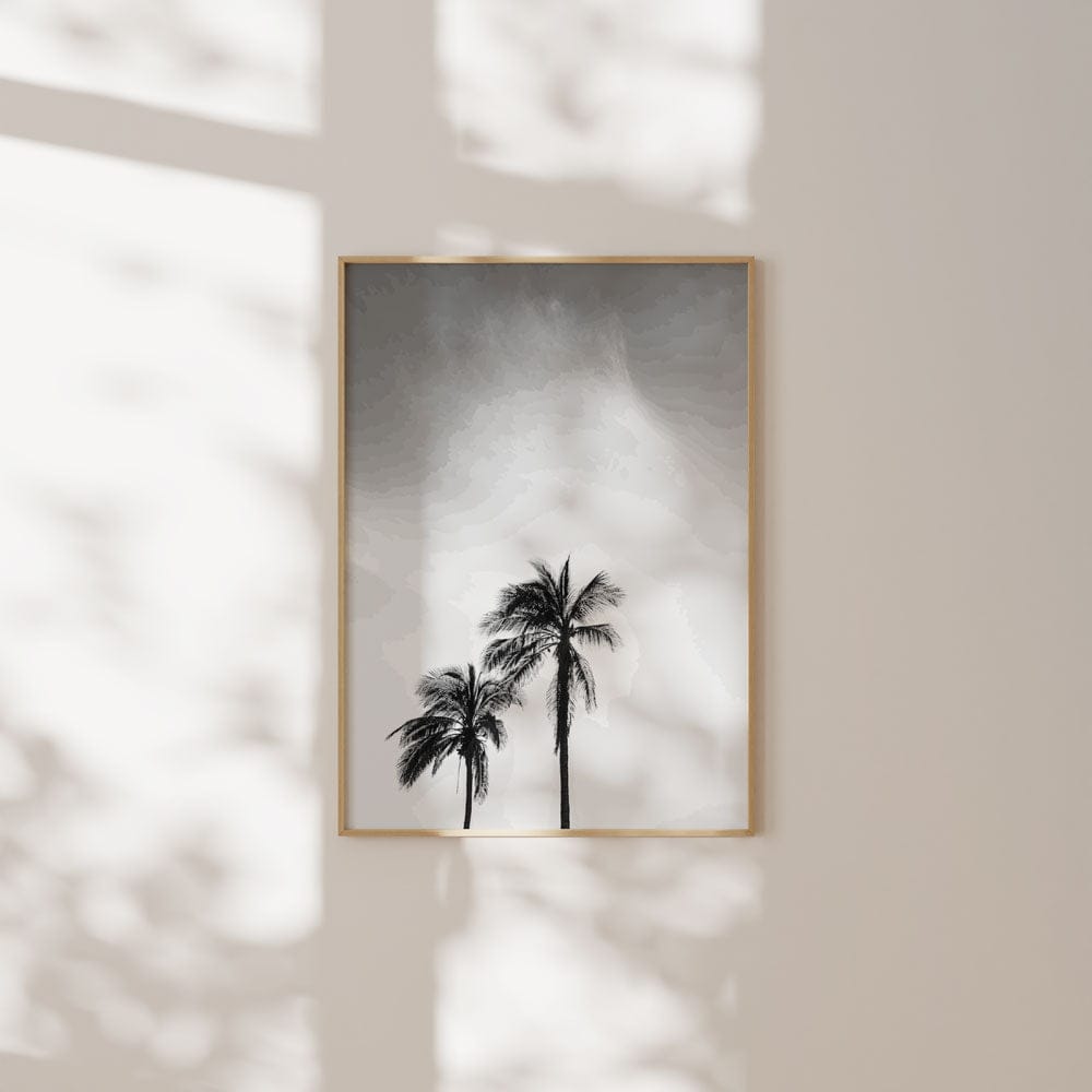 Palm Trees