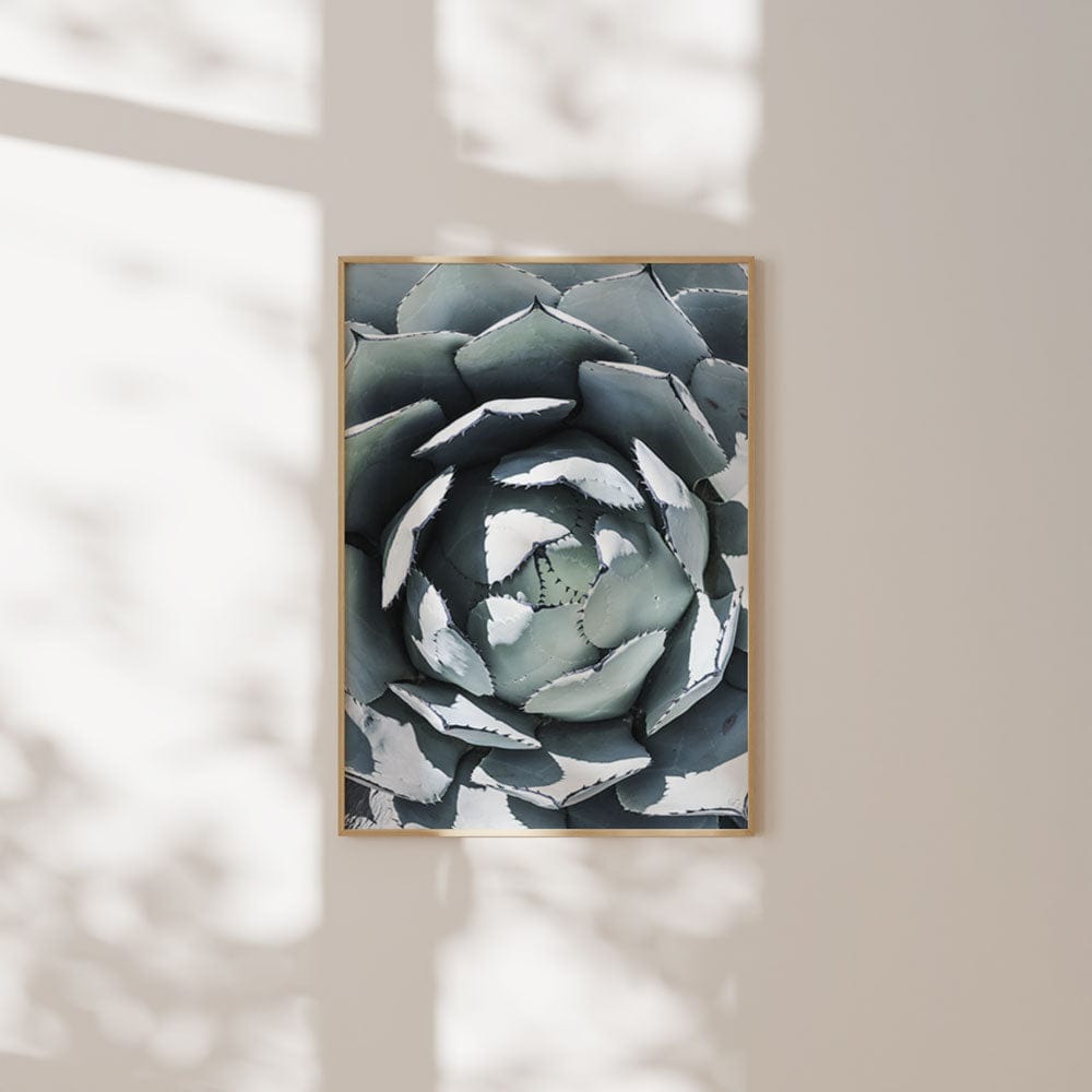 Blue Agave Top