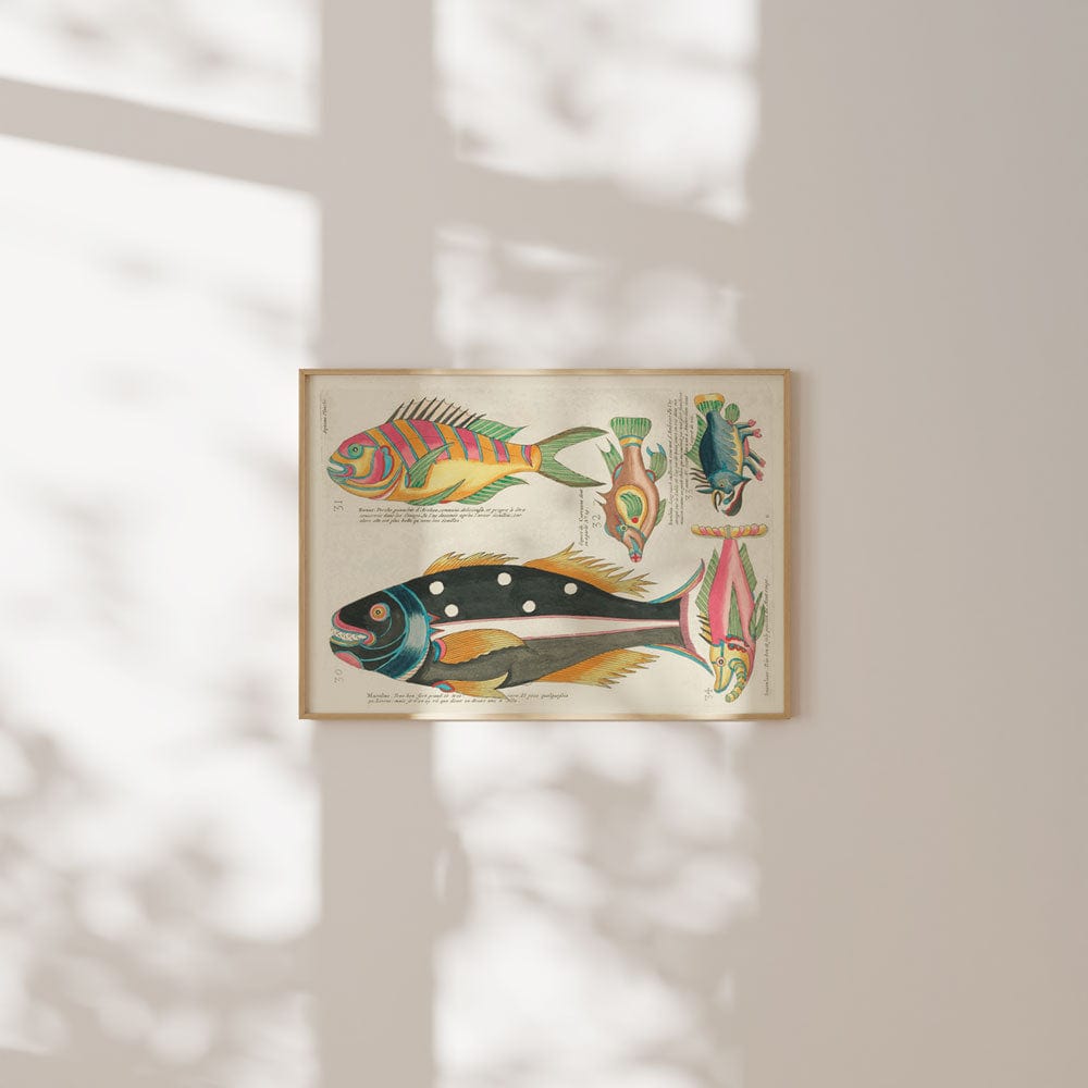Louis Renard Illustration IX