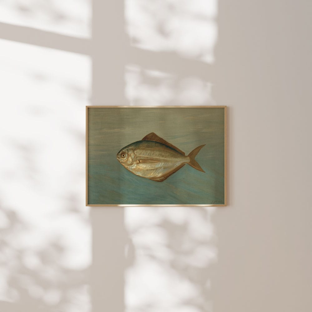 The Dollar Fish